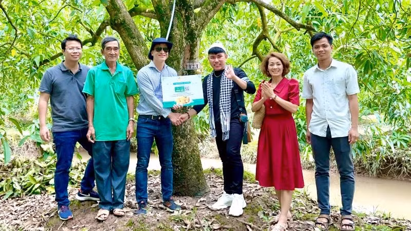 Để đa dạng hóa phương thức quảng bá đặc sản Đồng Tháp, nhà vườn tại đây cho khách hàng "nhận nuôi" cây xoài trong vườn.