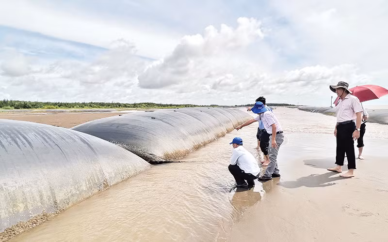 Công trình kè mềm chống sạt lở bờ biển tại huyện Thạnh Phú, tỉnh Bến Tre.
