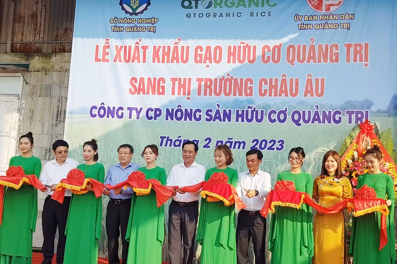 Lãnh đạo Ủy ban nhân dân tỉnh Quảng Trị tham dự và cắt băng tại lễ xuất khẩu gạo hữu cơ sang thị trường châu Âu. Ảnh: Lâm Quang Huy