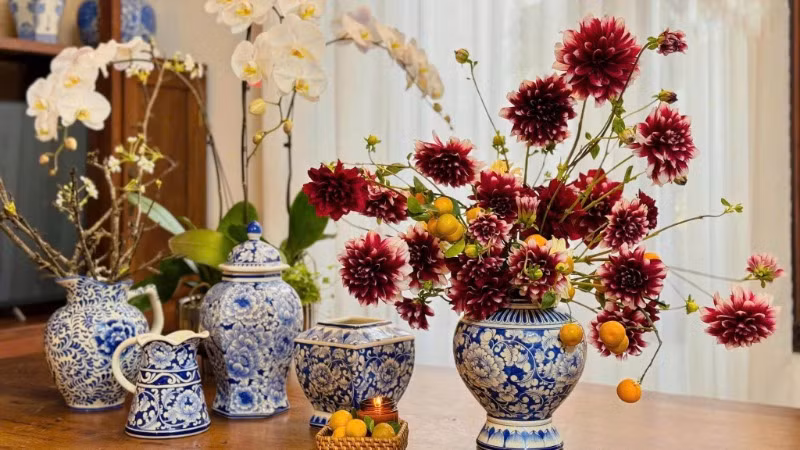 Hoa thược dược đỏ tía - sắc mầu quen thuộc của mùa xuân.