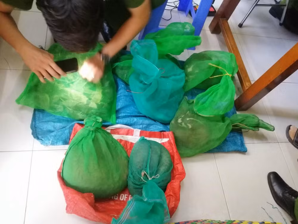 Toàn bộ số động vật nguy cấp, quý hiếm bị công an bắt giữ (ảnh do CA cung cấp). 