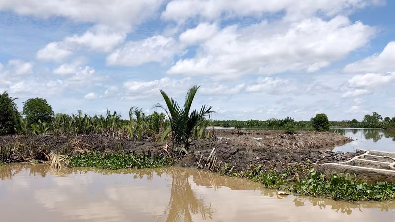 Người dân lấn chiếm đất dừa nước đắp đập thành vuông nuôi hải sản tại đầm Đông Hồ.