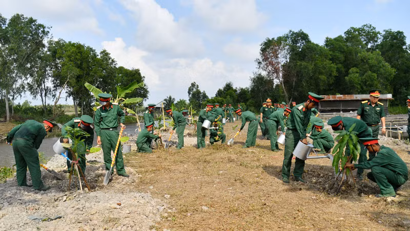 Chiến sĩ tham gia trồng cây xanh.