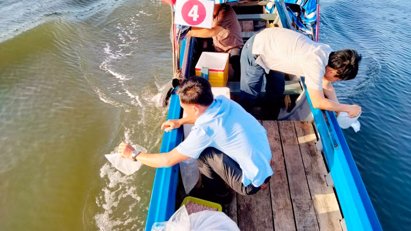 Đầm Đông Hồ có cảnh quan thiên nhiên rất đẹp, là điểm du lịch hấp dẫn của thành phố Hà Tiên. Trong ảnh: Chính quyền địa phương thả con giống tái tạo nguồn lợi thủy sản ở đầm Đông Hồ.