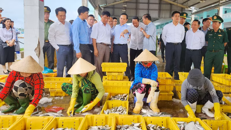 Phó Thủ tướng Trần Lưu Quang thị sát tại Cảng cá Tắc Cậu, huyện Châu Thành, tỉnh Kiên Giang. Phó Thủ tướng Trần Lưu Quang thị sát tại Cảng cá Tắc Cậu, huyện Châu Thành, tỉnh Kiên Giang.