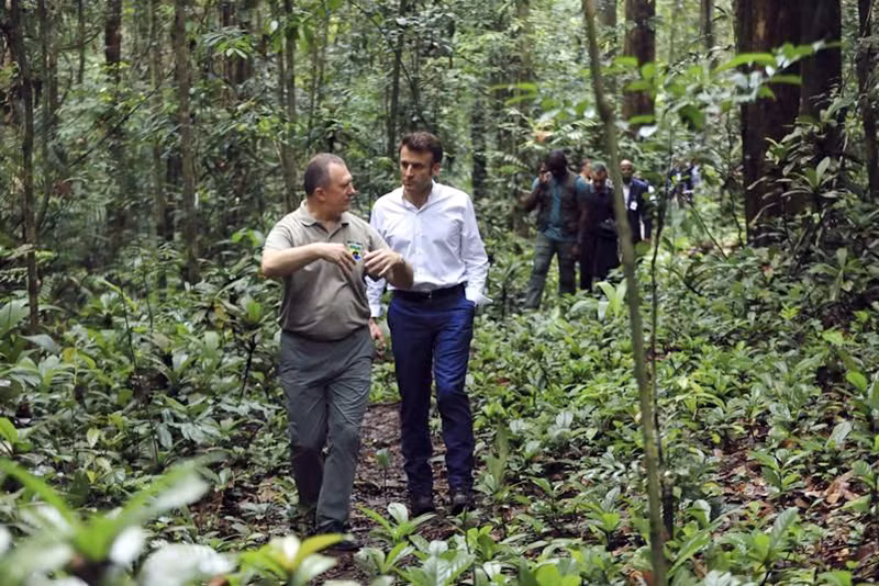 Tổng thống Pháp E.Macron thăm rừng ở Gabon. (Ảnh AP)