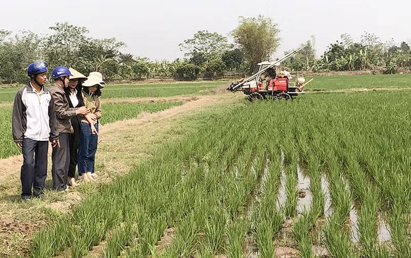 Lãnh đạo Hợp tác xã Dịch vụ nông nghiệp Quỳnh Thọ, xã Quỳnh Thọ, huyện Quỳnh Phụ tham quan ruộng lúa sản xuất theo quy mô lớn. Lãnh đạo Hợp tác xã Dịch vụ nông nghiệp Quỳnh Thọ, xã Quỳnh Thọ, huyện Quỳnh Phụ tham quan ruộng lúa sản xuất theo quy mô lớn.