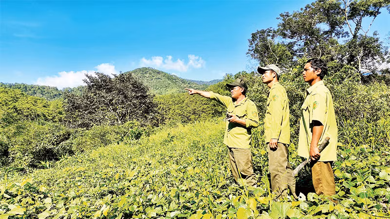 "Khi bị thương, tôi chỉ lo cho anh em..."