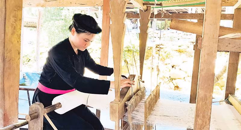 Thiếu nữ Tày (Na Hang, Tuyên Quang) bên khung cửi.