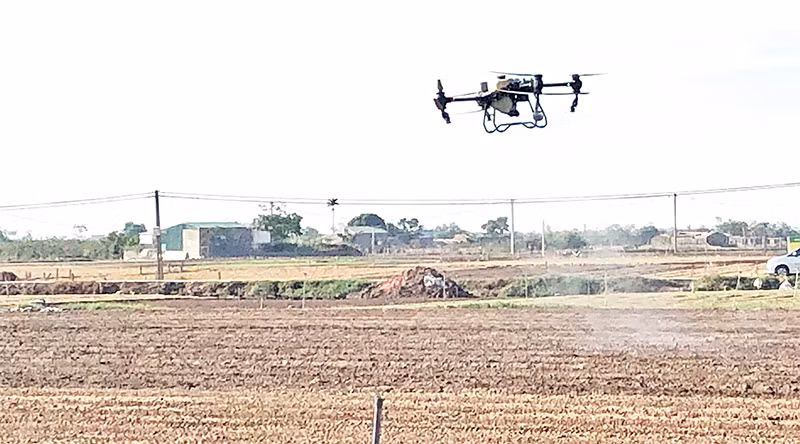 Sử dụng thiết bị bay không người lái (drone) để phun thuốc bảo vệ thực vật trong sản xuất nông nghiệp ở Hải Dương. (Ảnh BẢO HÂN)