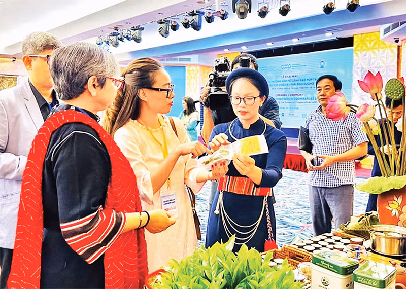 Sản phẩm Trà ướp sen của Hợp tác xã trà Sơn Dung (phường Đồng Quang, TP Thái Nguyên) là 1 trong 22 sản phẩm nông nghiệp tiêu biểu của tỉnh năm 2024. (Ảnh LƯU PHƯỢNG) Sản phẩm Trà ướp sen của Hợp tác xã trà Sơn Dung (phường Đồng Quang, TP Thái Nguyên) là 1 trong 22 sản phẩm nông nghiệp tiêu biểu của tỉnh năm 2024. (Ảnh LƯU PHƯỢNG)