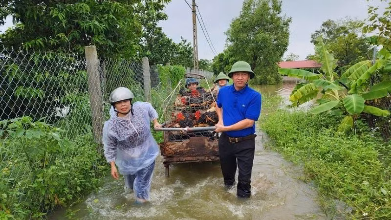 Hỗ trợ nhân dân di chuyển vật nuôi đến nơi an toàn.