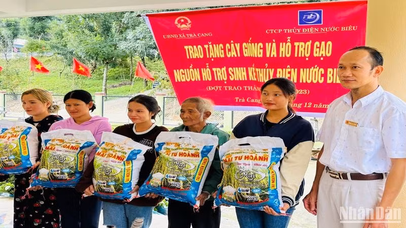 Hỗ trợ gạo và cây trồng rừng giúp bà con vùng thủy điện ổn định cuộc sống và bảo vệ rừng tốt hơn.