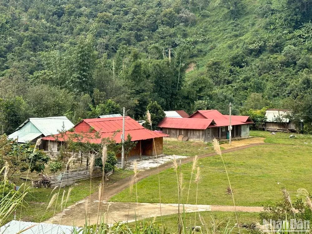Người dân về làng cũ ở tạm, cũng là nơi từng nguy cơ sạt lở. Người dân về làng cũ ở tạm, cũng là nơi từng nguy cơ sạt lở.