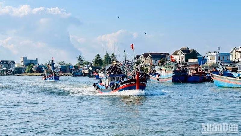 Tàu cá xuất bến cảng Sa Kỳ đánh bắt hải sản xa khơi.