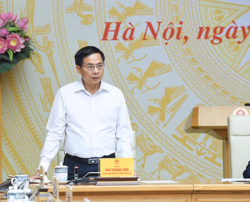 Phó Thủ tướng, Bộ trưởng Ngoại giao Bùi Thanh Sơn phát biểu tại hội nghị.
