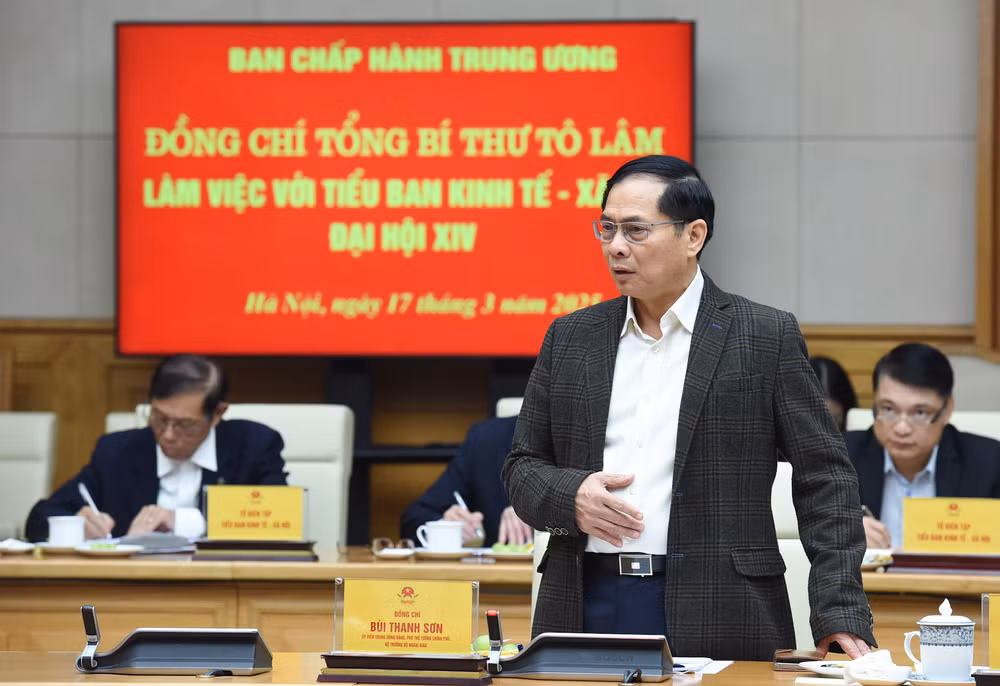 Phó Thủ tướng Bùi Thanh Sơn phát biểu.