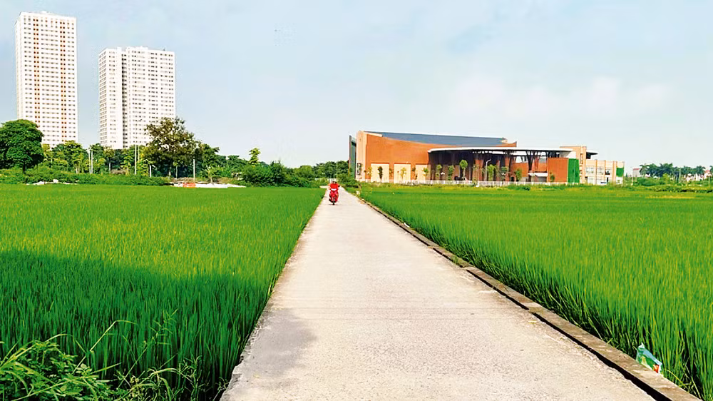 Diện mạo nông thôn mới nâng cao ở xã Mai Lâm, huyện Ðông Anh. (Ảnh NGUYỄN MAI)