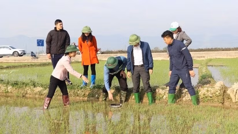 Lãnh đạo Sở Nông nghiệp và Môi trường tỉnh Ðiện Biên cùng nông dân huyện Ðiện Biên kiểm tra tiến độ sinh trưởng của cây lúa trồng theo mô hình thí điểm canh tác thông minh, giảm phát thải nhà kính.