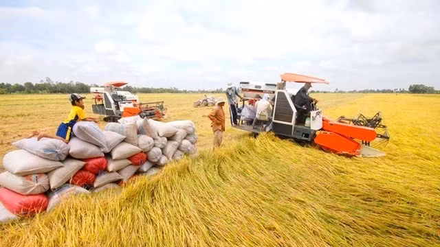 Giai đoạn thí điểm từ nay tới cuối năm 2025 do Agribank là ngân hàng chủ lực cho vay.