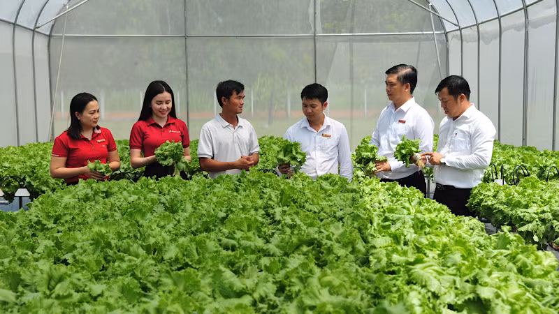 Agribank nâng quy mô gói tín dụng cho vay nông, lâm, thủy sản lên 20.000 tỷ đồng. 