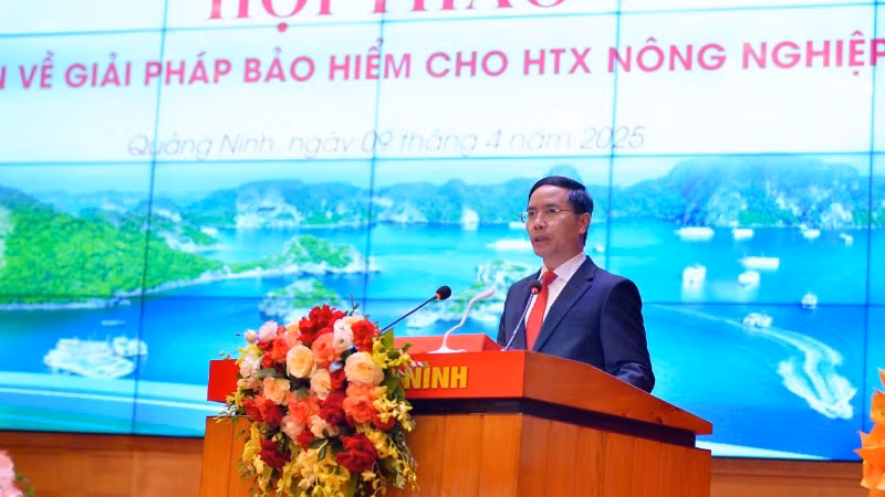 Chủ tịch UBND tỉnh Quảng Ninh Phạm Đức Ấn nhấn mạnh sự cấp thiết phải xây dựng chính sách bảo hiểm riêng cho hợp tác xã.