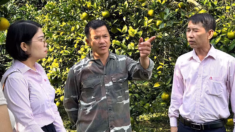 Cán bộ tín dụng Ngân hàng Chính sách xã hội thăm hộ vay vốn phát triển kinh tế gia đình.