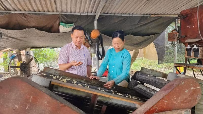Cán bộ tín dụng chính sách luôn bám sát cơ sở, gắn bó với hộ dân nghèo trong việc hướng dẫn họ vay vốn và sử dụng vốn hiệu quả.
