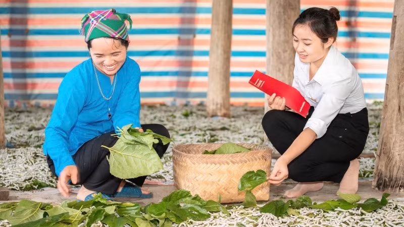 Nữ đoàn viên Agribank hăng say trong lao động. Nữ đoàn viên Agribank hăng say trong lao động.