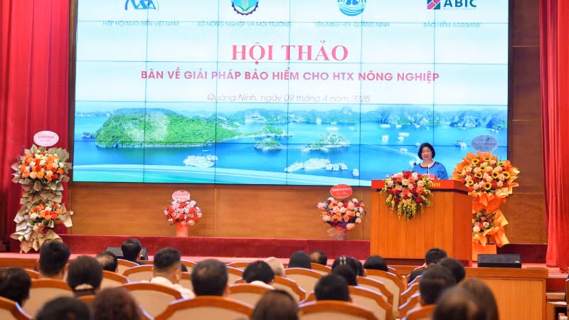 Chủ tịch Liên minh Hợp tác xã Việt Nam Cao Xuân Thu Vân phát biểu tại hội thảo.