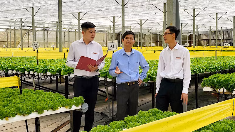 Agribank nhiều lần giảm lãi suất cho vay để hỗ trợ doanh nghiệp