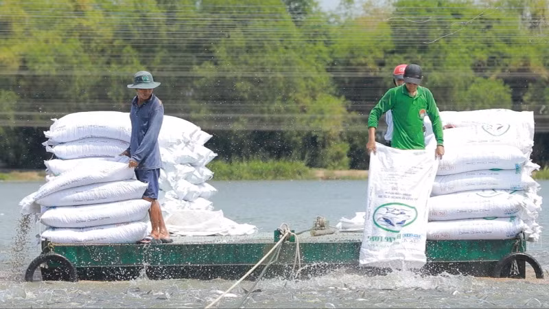 Sau 18 tháng triển khai, tổng số vốn Agribank đã giải ngân đạt gần 10.000 tỷ đồng, hỗ trợ hơn 6.500 lượt khách hàng. Sau 18 tháng triển khai, tổng số vốn Agribank đã giải ngân đạt gần 10.000 tỷ đồng, hỗ trợ hơn 6.500 lượt khách hàng.