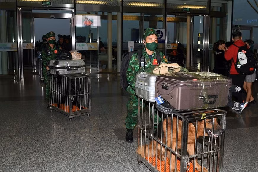 Chăm sóc "những người bạn trung thành" mọi lúc, mọi nơi. Chăm sóc "những người bạn trung thành" mọi lúc, mọi nơi.