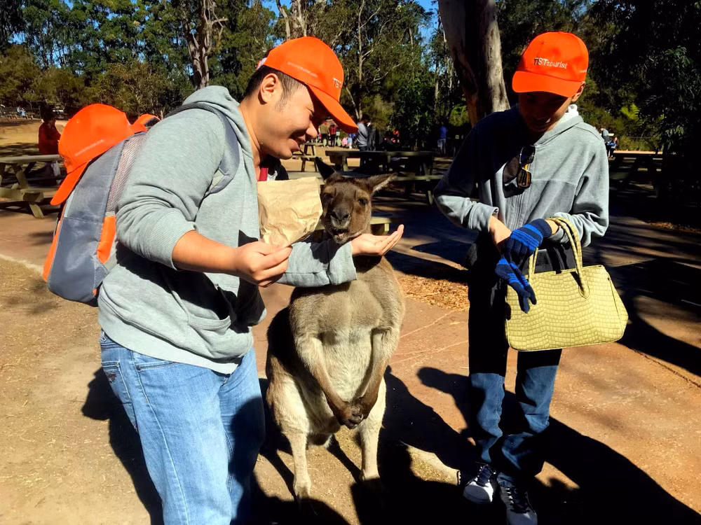 Du khách Việt Nam tham quan tại Australia. (Ảnh: TST tourist) Du khách Việt Nam tham quan tại Australia. (Ảnh: TST tourist)