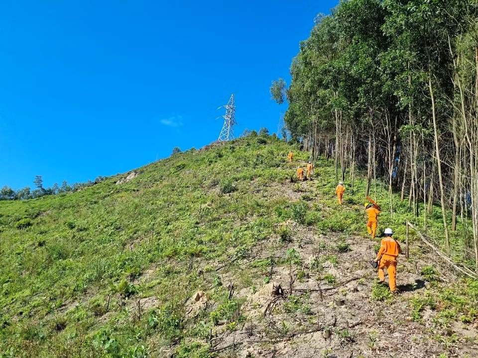 Công nhân Đội Quản lý vận hành lưới điện cao thế LVHLĐCT Hà Tĩnh đi bộ qua nhiều địa hình để đến hiện trường làm việc