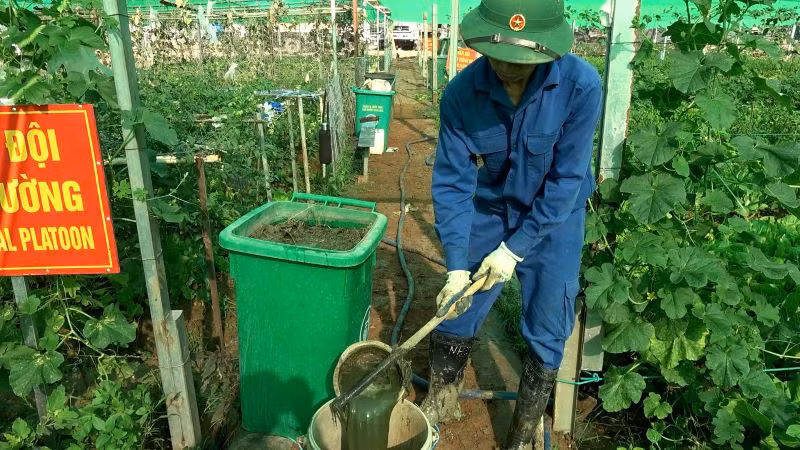 Cán bộ, nhân viên Đội Công binh số 3 cải tạo đất bằng cách gom nhặt cỏ cây chặt nhỏ và ngâm ủ, tận dụng rác thải hữu cơ từ bếp ăn làm phân xanh để tăng độ màu mỡ. Ảnh: Đội Công binh số 3 cung cấp. Cán bộ, nhân viên Đội Công binh số 3 cải tạo đất bằng cách gom nhặt cỏ cây chặt nhỏ và ngâm ủ, tận dụng rác thải hữu cơ từ bếp ăn làm phân xanh để tăng độ màu mỡ. Ảnh: Đội Công binh số 3 cung cấp.