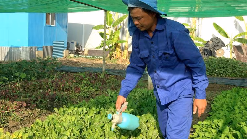 Những người lính Công binh Việt Nam đã tự chế thuốc trừ sâu từ các nguyên liệu tự nhiên, vỏ cam, ớt, hành, tỏi được giã nhuyễn và pha loãng để xua đuổi côn trùng, giúp bảo vệ cây trồng một cách an toàn, sạch và thân thiện với môi trường. Ảnh: Đội Công binh số 3 cung cấp. Những người lính Công binh Việt Nam đã tự chế thuốc trừ sâu từ các nguyên liệu tự nhiên, vỏ cam, ớt, hành, tỏi được giã nhuyễn và pha loãng để xua đuổi côn trùng, giúp bảo vệ cây trồng một cách an toàn, sạch và thân thiện với môi trường. Ảnh: Đội Công binh số 3 cung cấp.