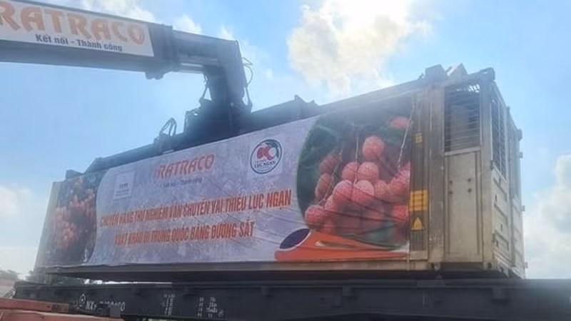 Lô hàng vải thiều đầu tiên xuất khẩu bằng đường sắt sang Trung Quốc.