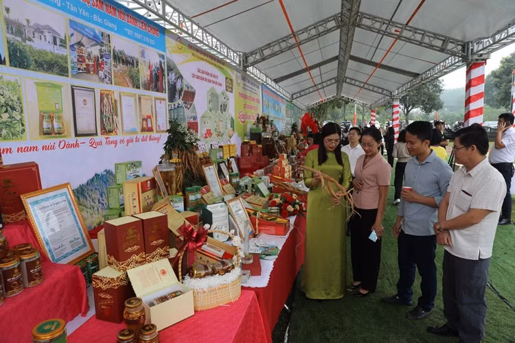 Các đại biểu tham quan sản phẩm từ sâm Nam núi Dành.