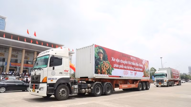 Xe xuất hành tiêu thụ vải thiều tại hội nghị.