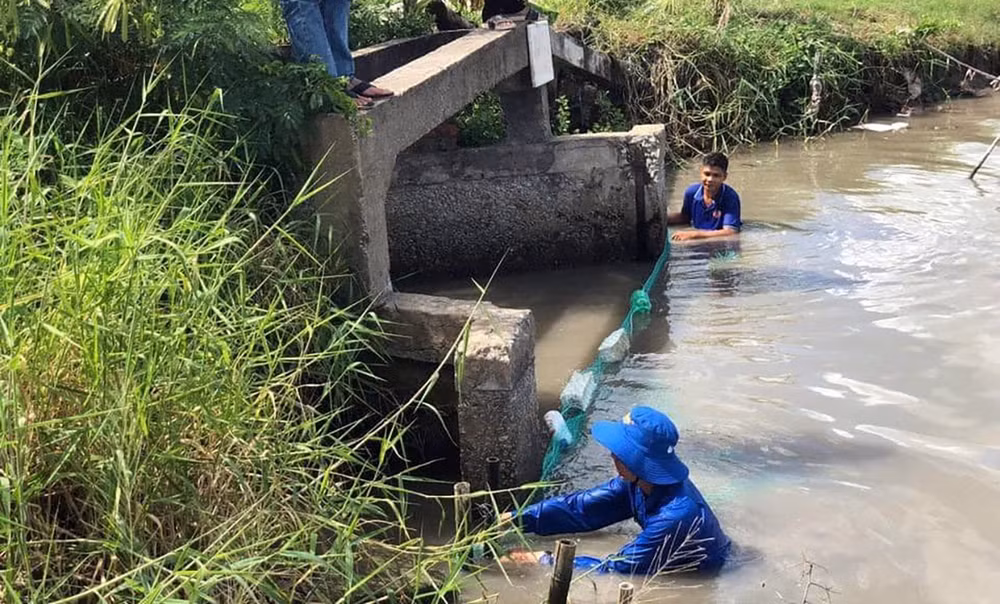 Tuổi trẻ Cà Mau xóa điểm đen rác thải. Tuổi trẻ Cà Mau xóa điểm đen rác thải.