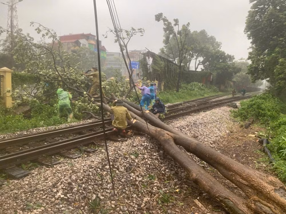 Lực lượng chức năng di dời cây đổ chắn ngang các tuyến đường sắt. Ảnh: SƠN BÁCH