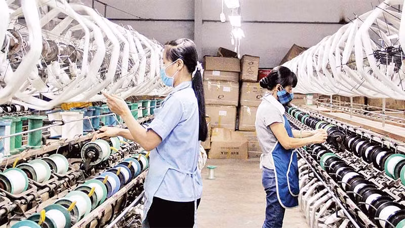 Mặt hàng tơ thô của Lâm Đồng được nhiều thị trường quốc tế ưa chuộng. Mặt hàng tơ thô của Lâm Đồng được nhiều thị trường quốc tế ưa chuộng.