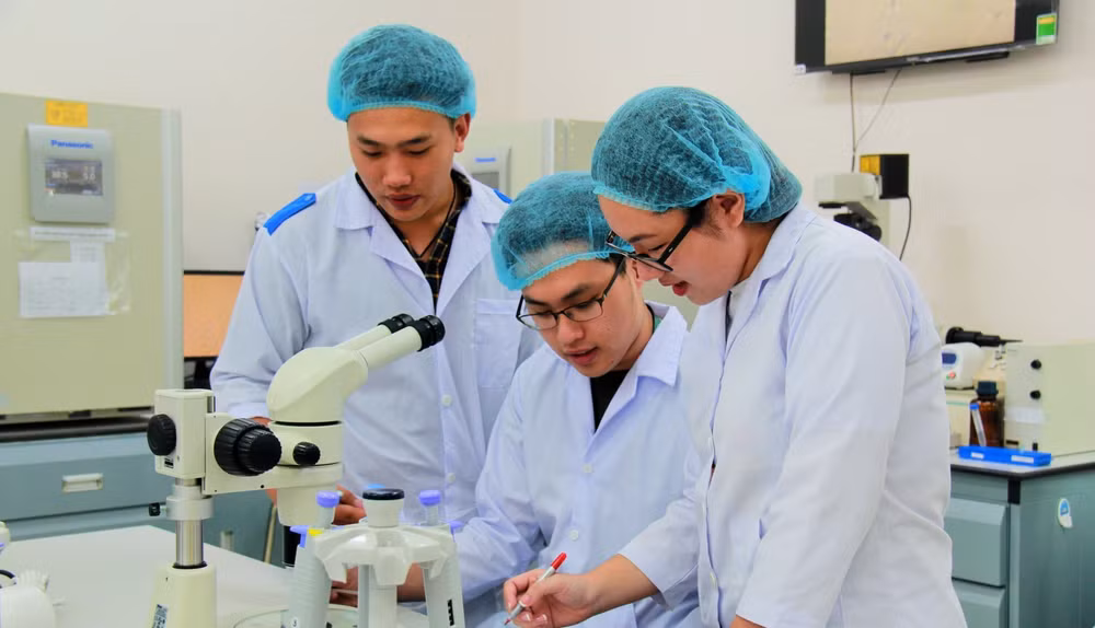 Nghiên cứu khoa học tại Đại học Quốc gia Thành phố Hồ Chí Minh