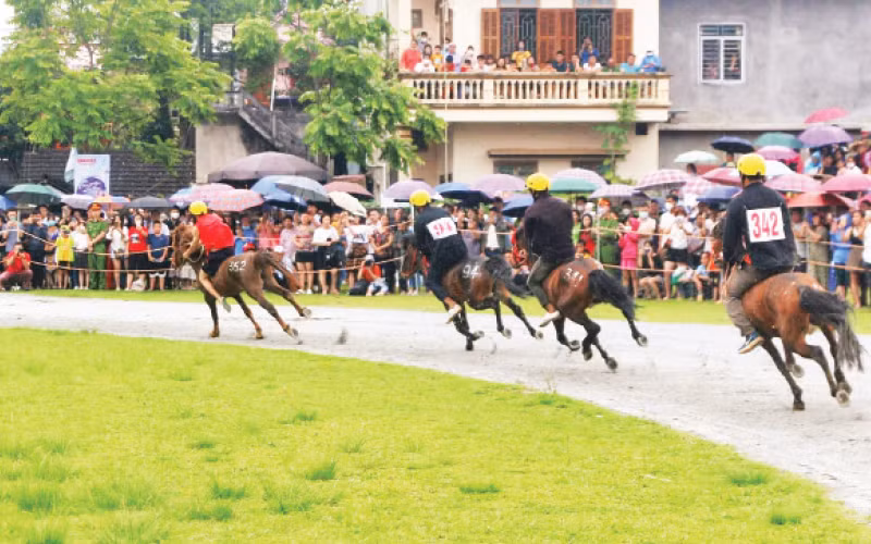 Hàng nghìn người dân và du khách thập phương đến xem, cổ vũ vòng loại cuộc đua ngựa Bắc Hà 2025. Hàng nghìn người dân và du khách thập phương đến xem, cổ vũ vòng loại cuộc đua ngựa Bắc Hà 2025.