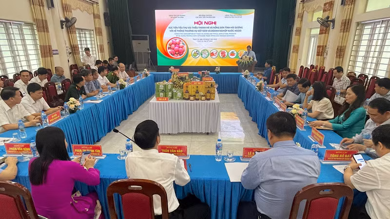Hội nghị xúc tiến thương mại tiêu thụ vải thiều Thanh Hà và nông sản của tỉnh Hải Dương với hệ thống thương vụ Việt Nam và doanh nghiệp nước ngoài.