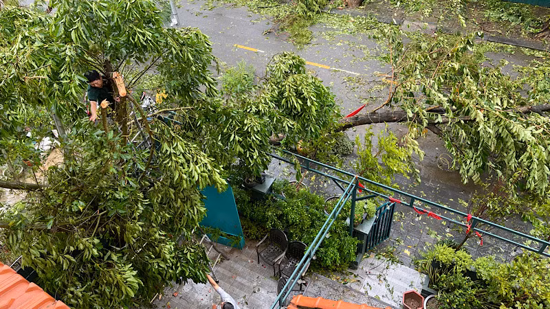 Người dân khắc phục hậu quả của bão số 3.