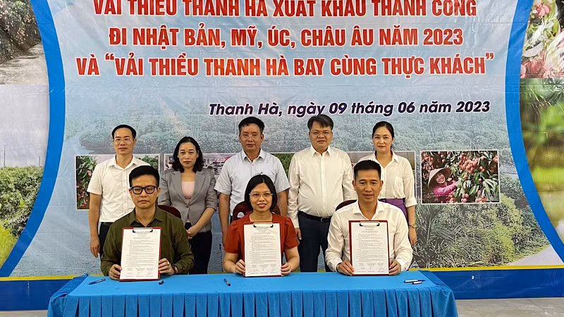 Đại diện các đơn vị ký cam kết đưa vải thiều lên các suất ăn để "bay" cùng thực khách. Đại diện các đơn vị ký cam kết đưa vải thiều lên các suất ăn để "bay" cùng thực khách.