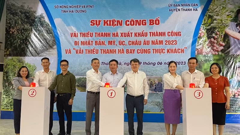 Các đại biểu bấm nút xuất khẩu vải thiều Thanh Hà đi các nước: Nhật Bản, Mỹ, Australia, châu Âu.