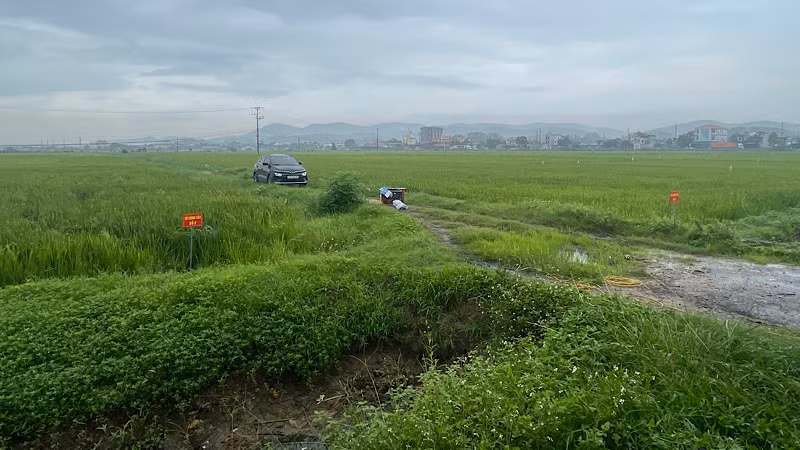 Khu đất nông nghiệp ở phường Chí Minh, nơi thực hiện dự án Khu đô thị sinh thái Chí Linh.